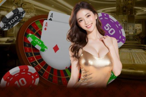 澳门六宝典资料，澳门六宝典资料最新版本更新内容